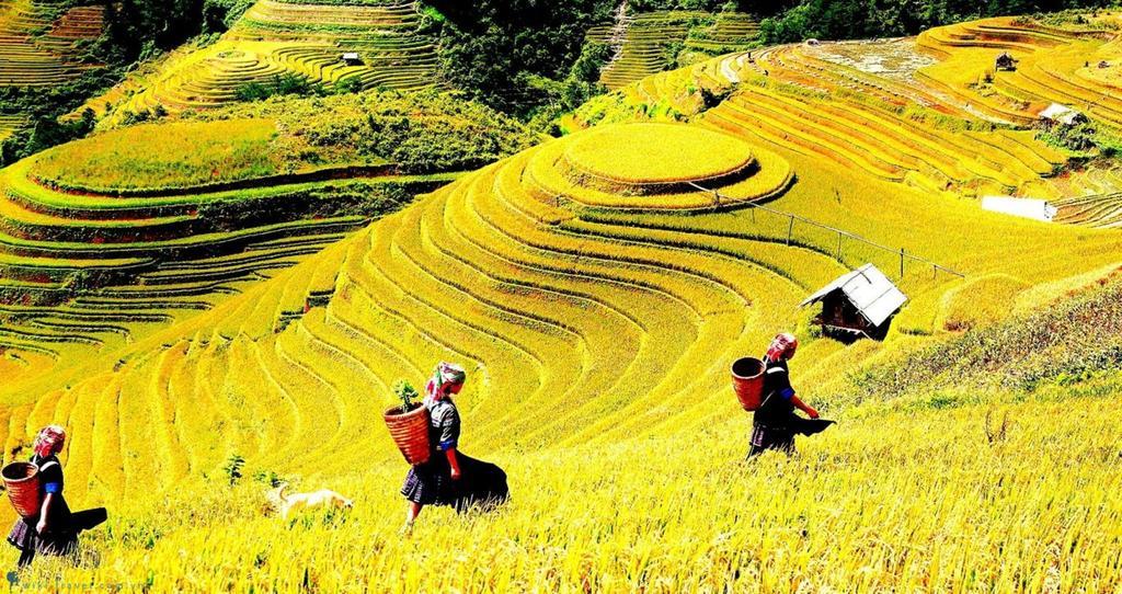 Hanoi Merci Hotel المظهر الخارجي الصورة